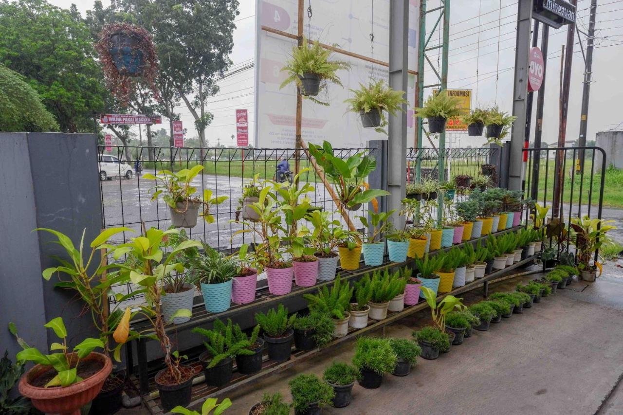 Oyo 3746 Double Tree Guesthouse Purwokerto Extérieur photo